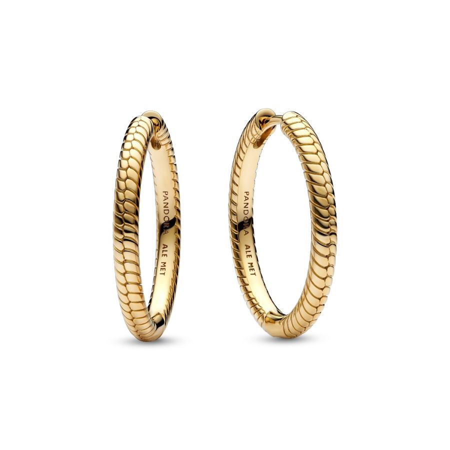Pandora Charm Hoop Earrings